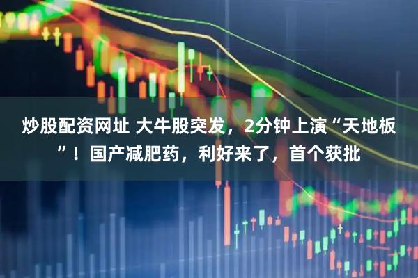 炒股配资网址 大牛股突发，2分钟上演“天地板”！国产减肥药，利好来了，首个获批